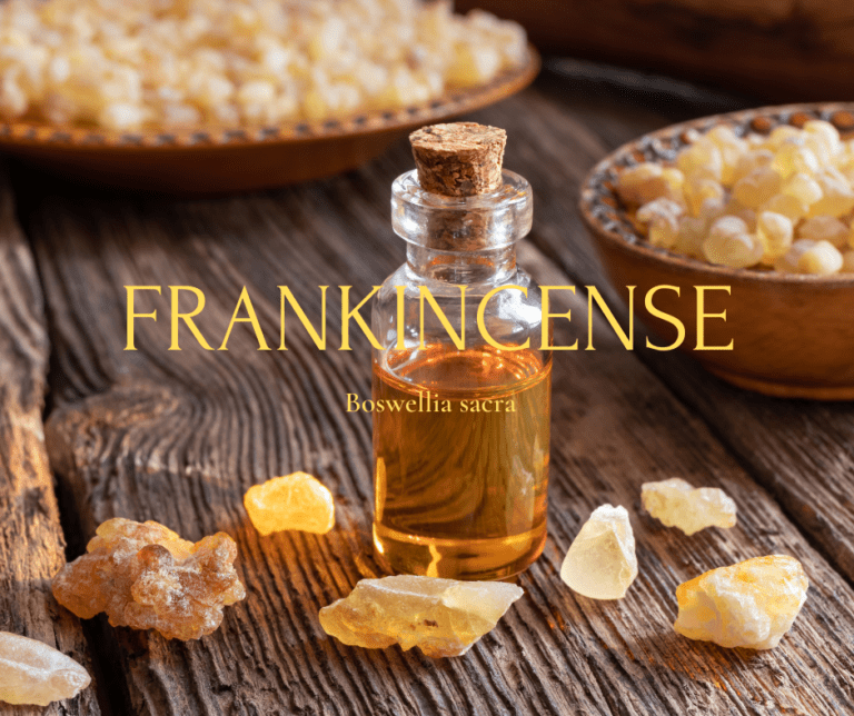 Pieces of resin and small bottle of frankincense oil